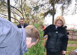 Акція "Посади дерево"